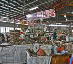 suva municipal market