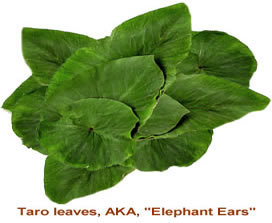 taro leaves