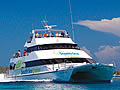 Yasawa Flyer and TigerIV pricelist