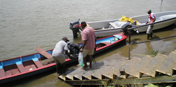 navua river longboats