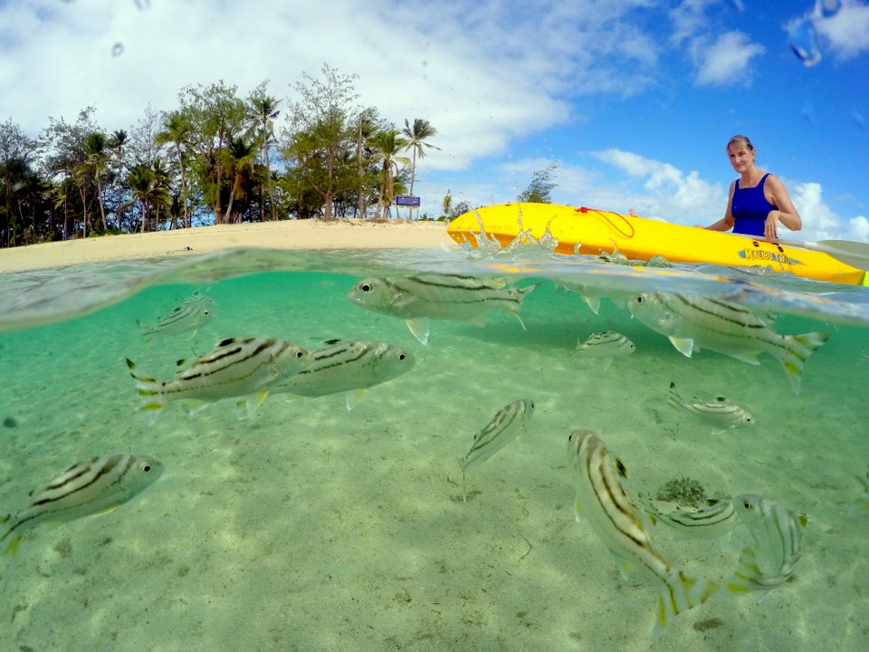 Best Time To Visit Fiji Some months in Fiji are better than others